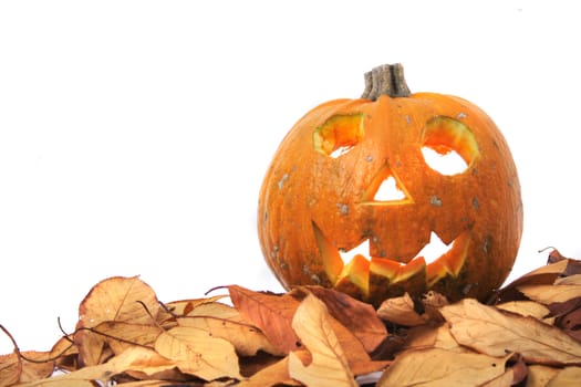 halloween pumpkin isolated on the white background