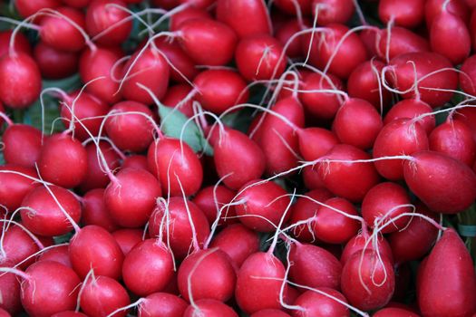 radish heaps on the market place as nice food background
