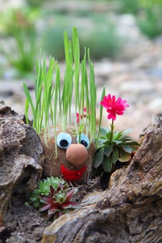 home made spring face with grass hair