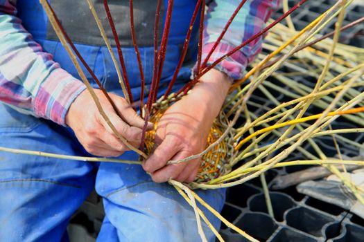 man is making traditional easter wicker basket 
