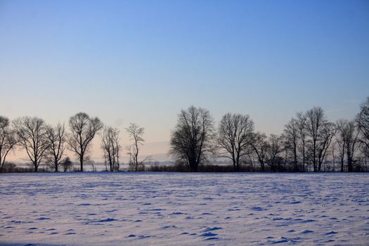 winter country with the treeses from the czech republic