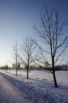 winter country with the treeses from the czech republic