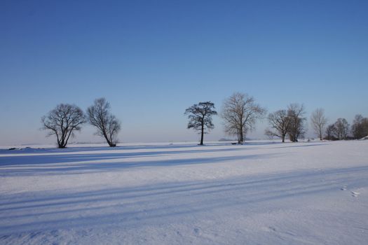 winter country with the treeses from the czech republic