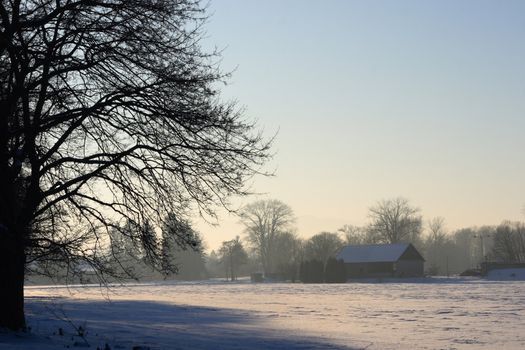 winter country with the treeses from the czech republic