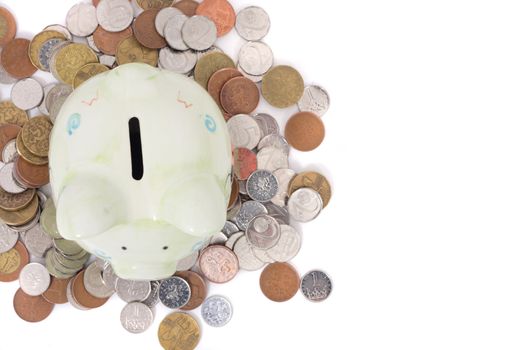 saving and pig bank isolated on the white background