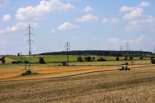 nice czech country with the golden corn and blue sky