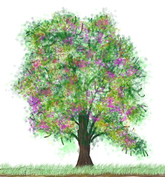 spring tree isolated on the white background