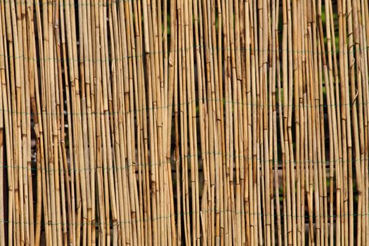 bamboo background as very nice natural texture 
