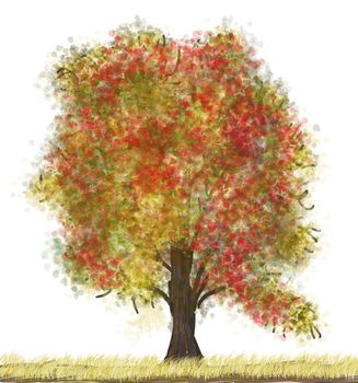 autumn tree isolated on the white background