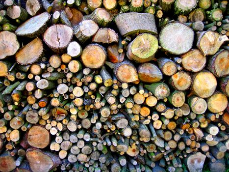 wood texture as very nice natural background