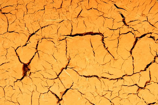 dry background from the field from the czech republic