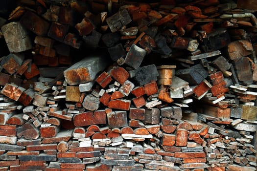 very nice wooden background from forest wood