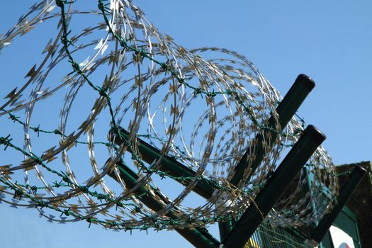 barbed wire against blue sky as war  background