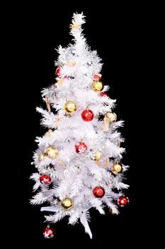 christmas tree isolated on the black background