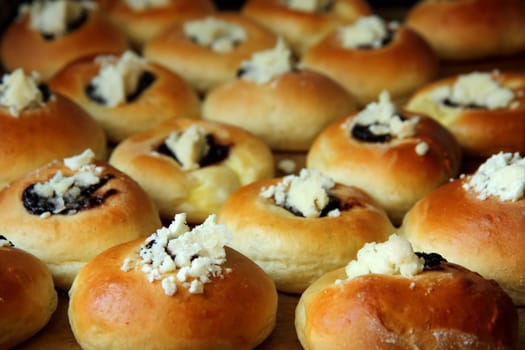 sweet czech cakes as very nice food background