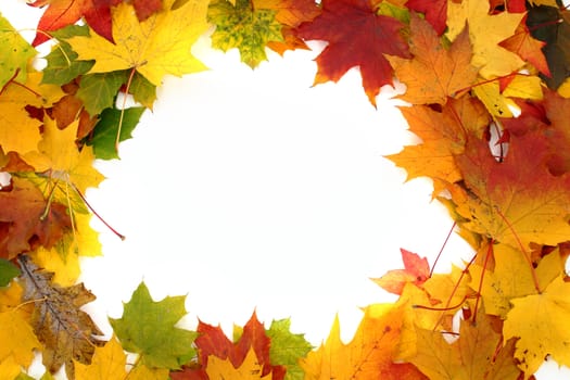 nice autumn color background from old leaves 
