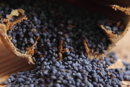 blue poppy seeds as natural food background
