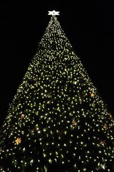 big christmas tree in the dark night 