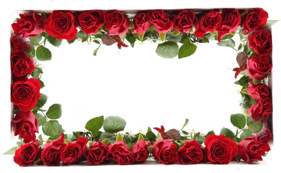 red roses frame isolated on the white background