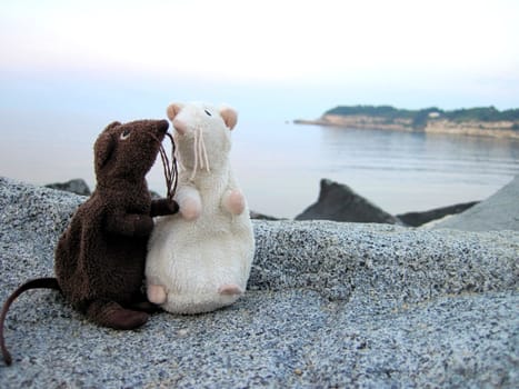 two mouse toys on beach in bulgaria