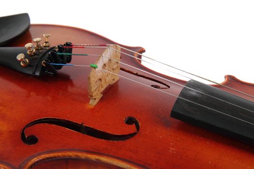 detail of violin isolated on the white background