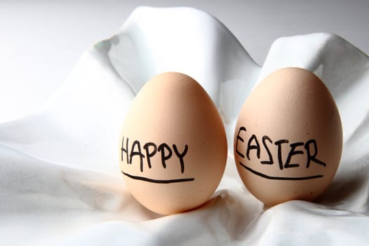 happy easter eggs resting on the white background