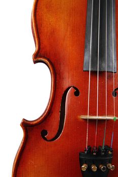 violin details isolated on the white background