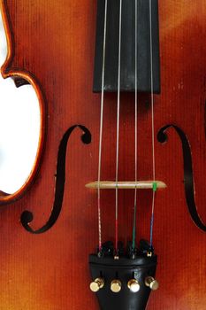 violin details as very nice musical background