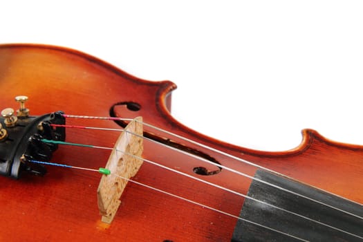 violin details isolated on the white background