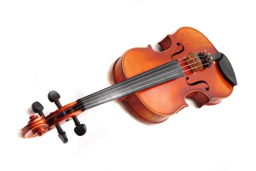 violins isolated on the white background