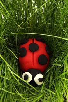 ladybird from plasticine in the green grass