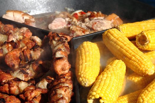 corn and meat as nice food background