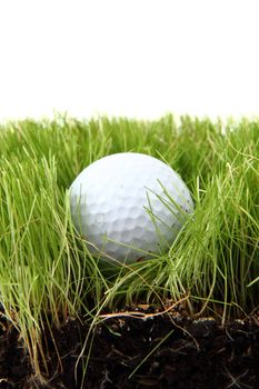 golf ball in the green grass as nice sport background