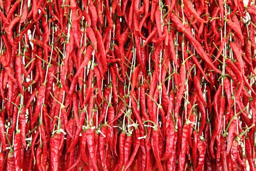 hot spicy texture as nice food background