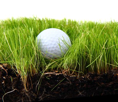 golf ball in the green grass as sport background