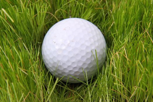golf ball in the green grass as nice sport background