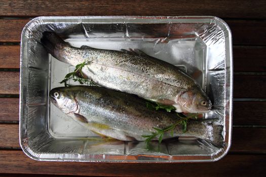 raw trout fish as very nice food background