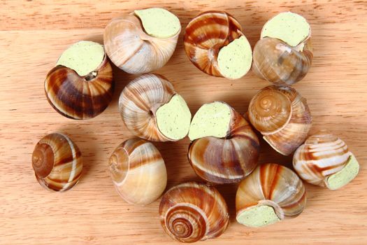 snails (french gourmet food) as nice background