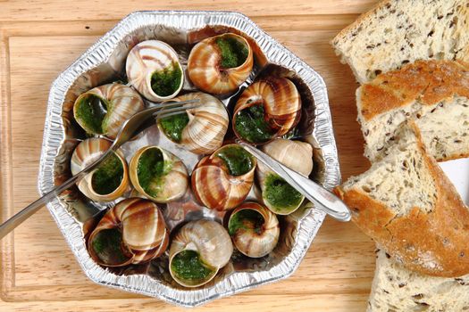 snails (french gourmet food) as nice background