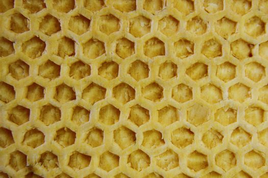 bee wax as very nice natural background