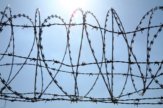 barbed wire against blue sky as war background
