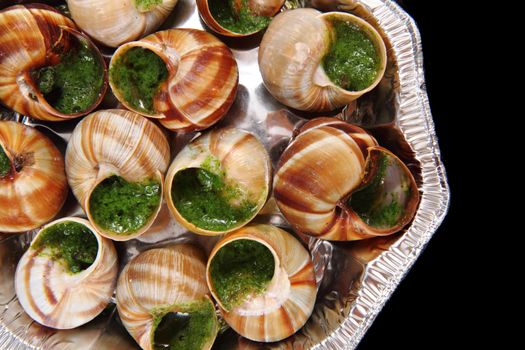 snails with herb butter as very nice food background