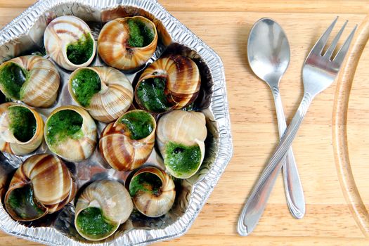 snails (french food) as nice gourmet background 