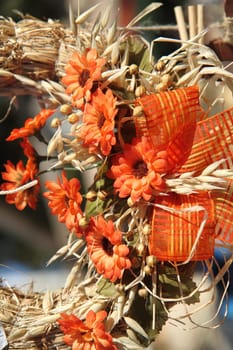 orange flowers as very nice summer  background