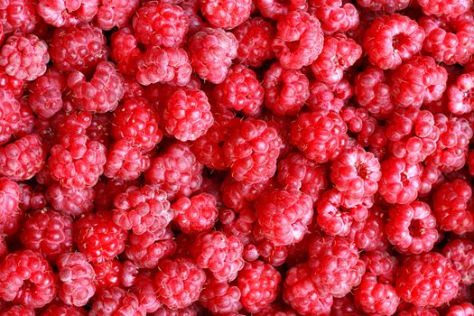 very nice fresh red raspberries background 