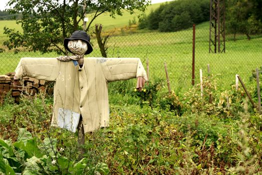 scarecrow in the garden as nice halloween symbol 