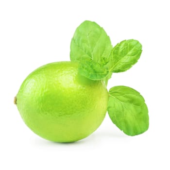 Native Lime And Mint Over The White Background