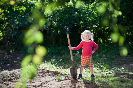 small girl helps to dig