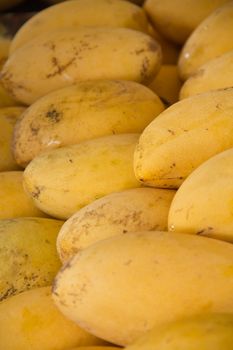 Golden delicious ripe mangoes sold in the market