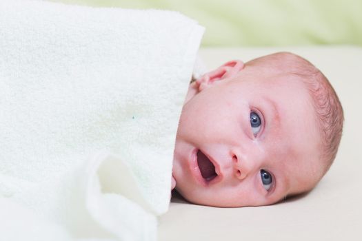 Face of the newborn baby close up